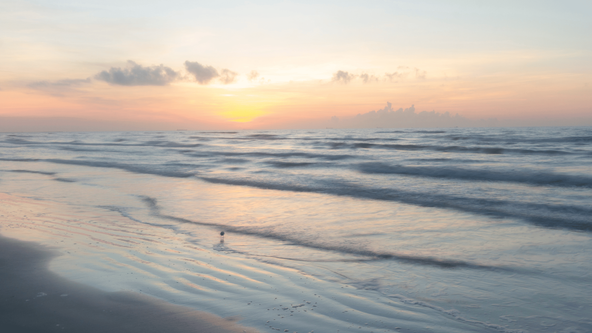 Galveston, Texas Beach
